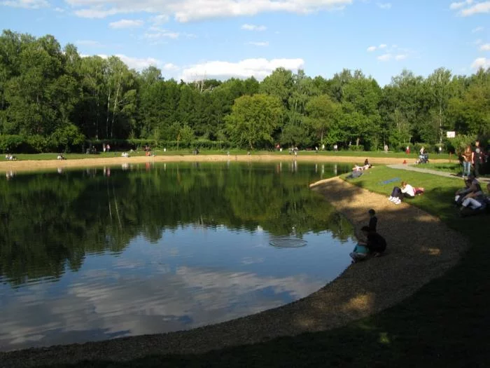 Dog pond in Sokolniki saved by office trails - My, Sokolniki, Moscow, United Russia