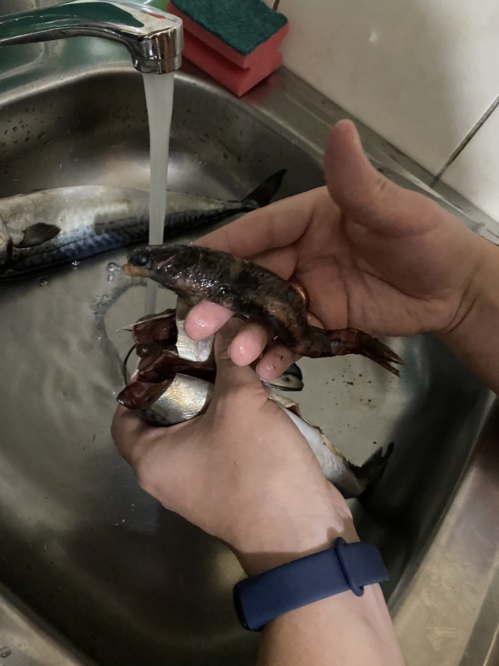 Чистил скумбрию