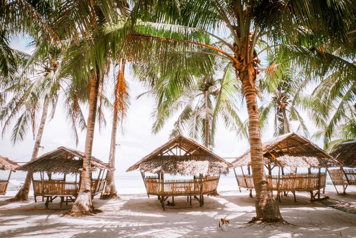 Белый пляж (Филиппины) один из самых красивых пляжей в мире Филиппины, Пляж, Туризм, Горящие туры, Туры, Красота, Лето, Море, Длиннопост