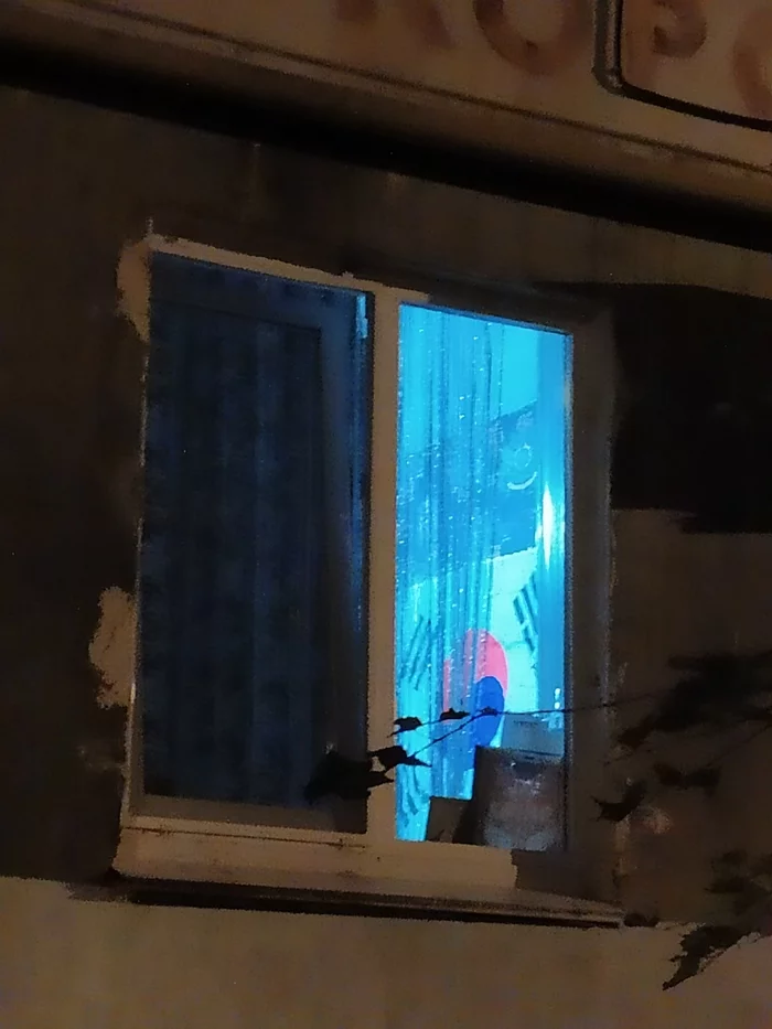 Stirlitz has never been so close to failure - My, Window, Night, Peeping, Flag, Корея, Иностранцы, Unexpected, Bashkortostan