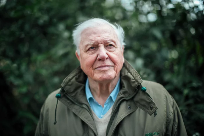 David Attenborough joined Instagram - David Attenborough, Instagram, Instagrammers, Ecology, Naturalist, Video, Longpost