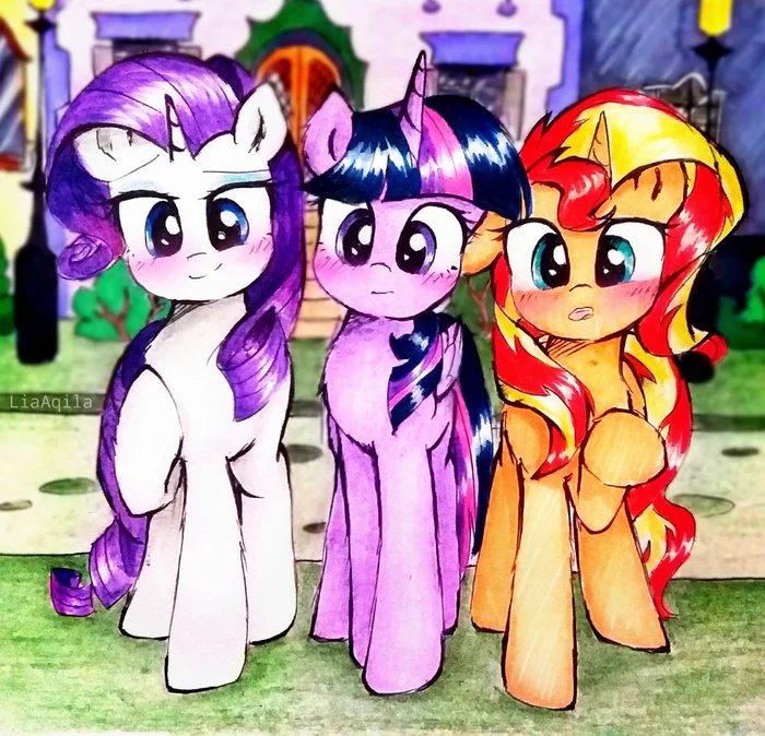 Confused horses - My little pony, Rarity, Twilight sparkle, Sunset shimmer