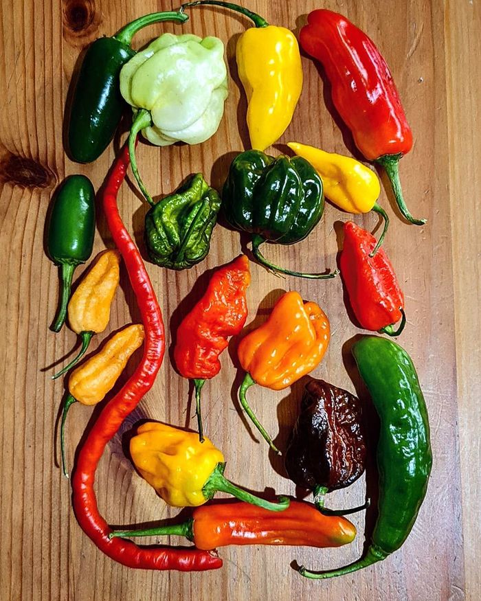 Deadly beauty - Pepper, Jalapeno, Habanero, Chile, Spicy