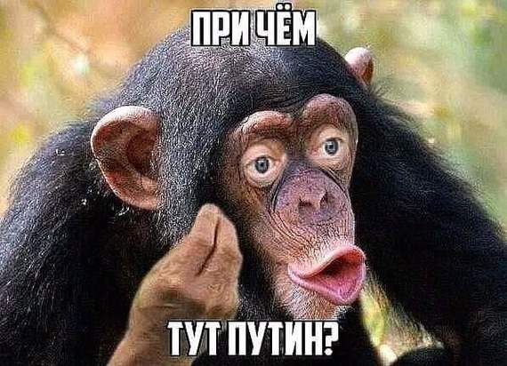 ���� VS ������. (�����1)