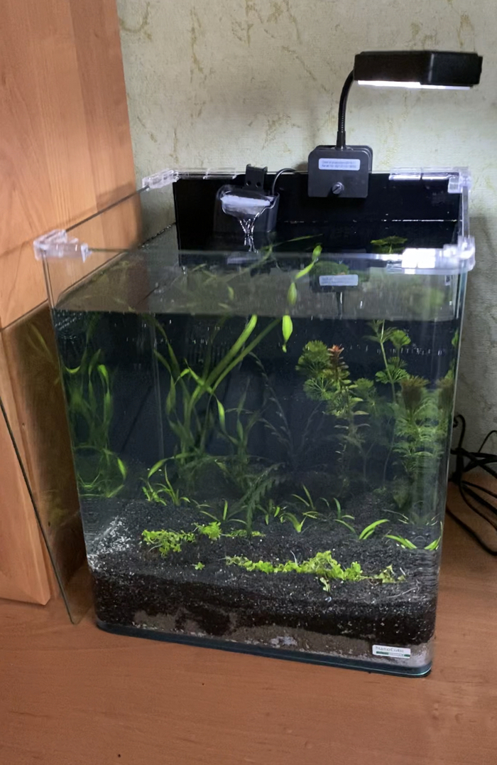 Фон внутри аквариума