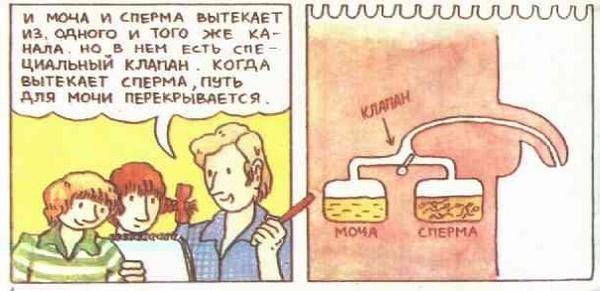 откуда берутся дети фото в реальной жизни. Смотреть фото откуда берутся дети фото в реальной жизни. Смотреть картинку откуда берутся дети фото в реальной жизни. Картинка про откуда берутся дети фото в реальной жизни. Фото откуда берутся дети фото в реальной жизни