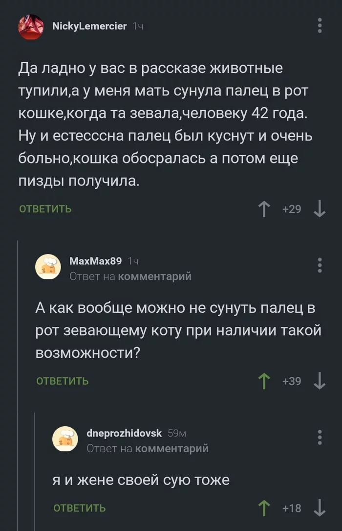 Ну как тут удержаться?!) - Кот, Зевота, Муж, Жена, Чертов палец, Комментарии на Пикабу, Скриншот