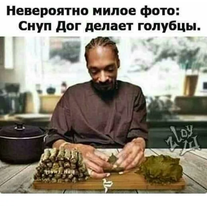 Ленивые голубцы - Snoop Dogg, Голубцы, Ленивые голубцы, Юмор, Мемы, Картинки