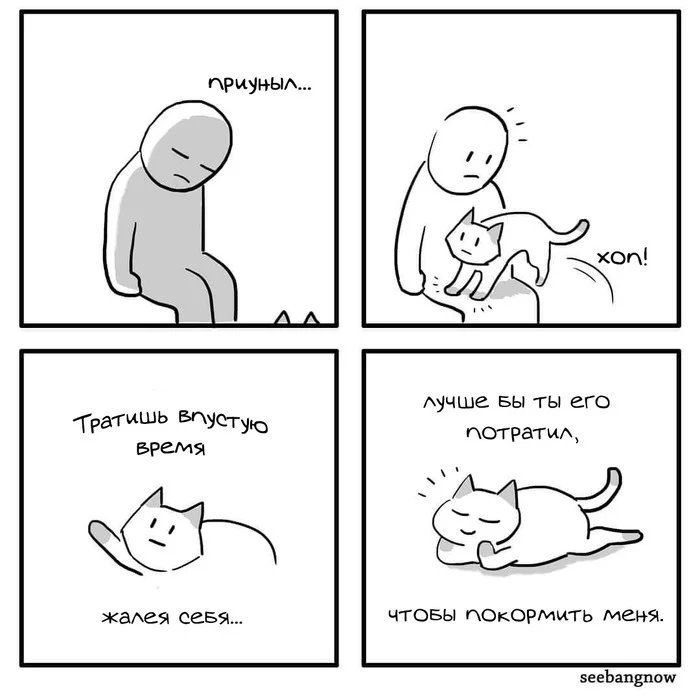 Are you wasting your time? - Seebangnow, Comics, cat