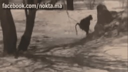 ловля обезьян на тыкву. Смотреть фото ловля обезьян на тыкву. Смотреть картинку ловля обезьян на тыкву. Картинка про ловля обезьян на тыкву. Фото ловля обезьян на тыкву ловля обезьян на тыкву. Смотреть фото ловля обезьян на тыкву. Смотреть картинку ловля обезьян на тыкву. Картинка про ловля обезьян на тыкву. Фото ловля обезьян на тыкву