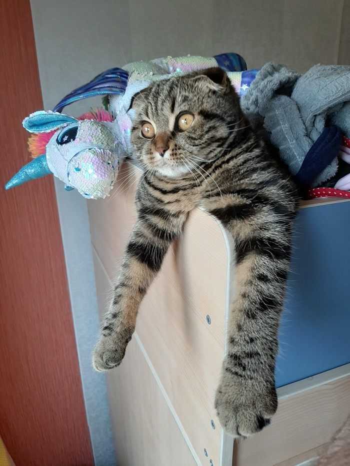 ����� �����