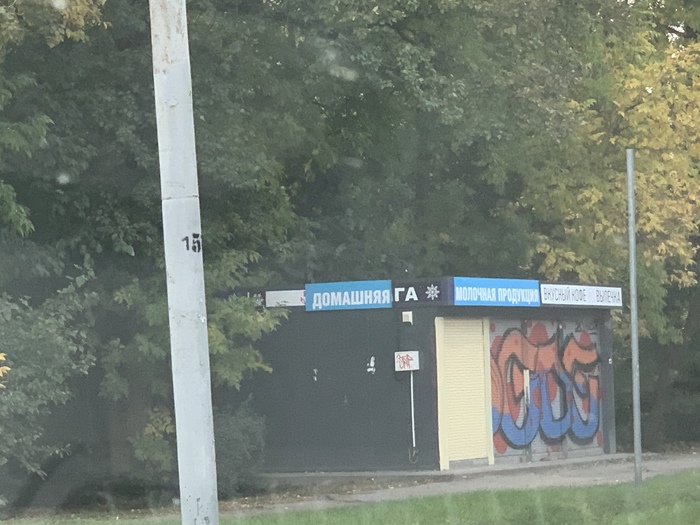 Домашняя га