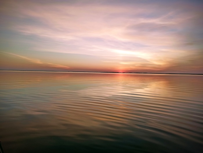   , , Redmi note 8 pro