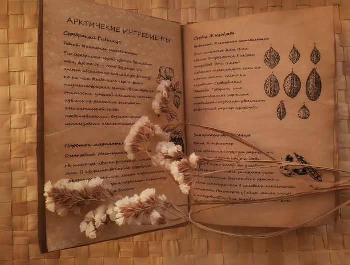 Книга Травника (D&D 5e) - Моё, Dnd 5, Рукоделие без процесса