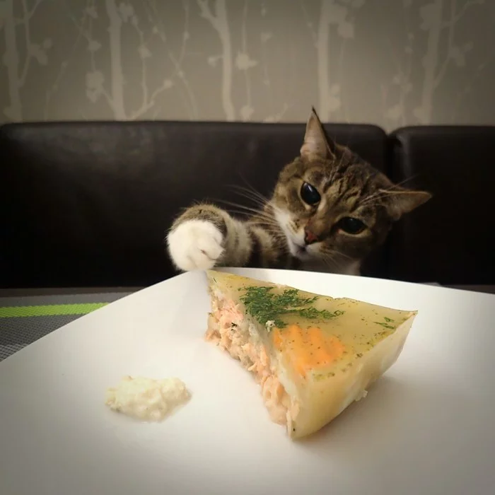 Её звали Макса - Кот, Длиннопост, Жизнь, Смерть, Боль, Негатив, Свет, Кошкин дом, Моё