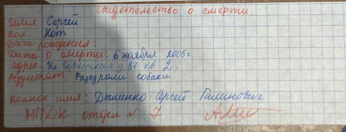 Маленький кошачий бюрократ Кот, Детство, Бюрократия, Длиннопост