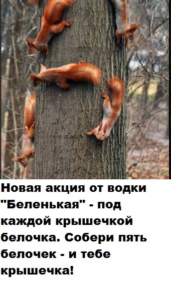 Нет, я не буду!:)