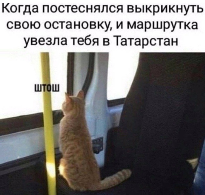 автобус мем это значит что. Смотреть фото автобус мем это значит что. Смотреть картинку автобус мем это значит что. Картинка про автобус мем это значит что. Фото автобус мем это значит что