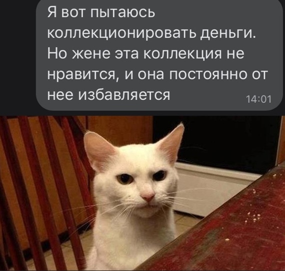 На волне постов про увлечения