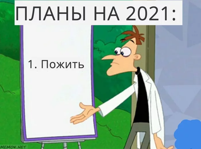 Plans for 2021 - Plans for the future, 2021
