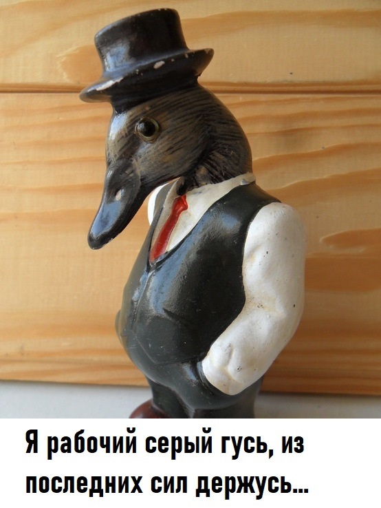 Harsh everyday life of a goose) - Гусь, Picture with text, Memes, Humor, Work