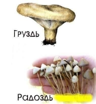 �������  :)