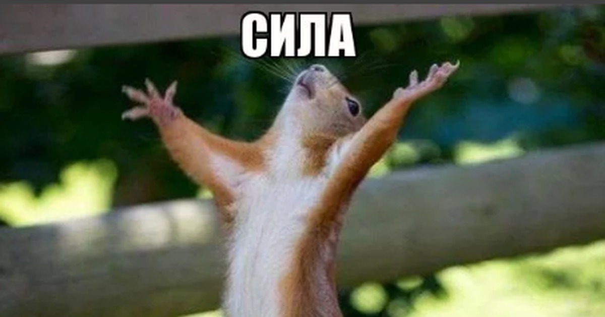 Песня завтра выходной