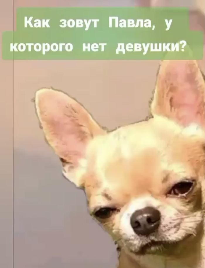 Минутка тупости