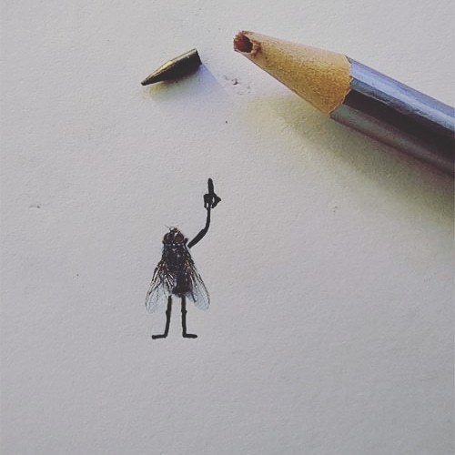 News Muhosranska - My, Humor, Drawing, Collage, Artist, Longpost, Insects