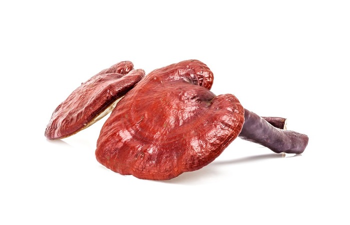 Гриб Рейши (Ganoderma Lucidum) Рейши, Грибы, Длиннопост