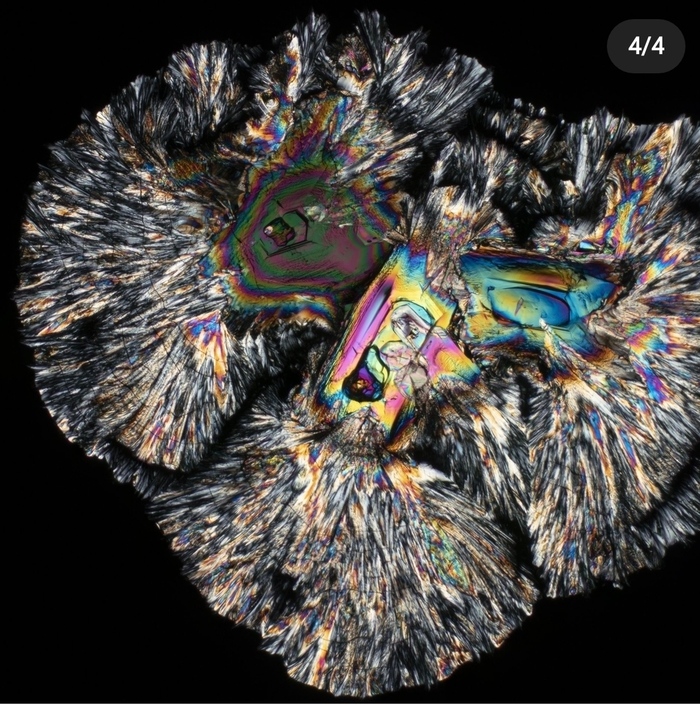 водка под микроскопом почему так выглядит. Смотреть фото водка под микроскопом почему так выглядит. Смотреть картинку водка под микроскопом почему так выглядит. Картинка про водка под микроскопом почему так выглядит. Фото водка под микроскопом почему так выглядит водка под микроскопом почему так выглядит. Смотреть фото водка под микроскопом почему так выглядит. Смотреть картинку водка под микроскопом почему так выглядит. Картинка про водка под микроскопом почему так выглядит. Фото водка под микроскопом почему так выглядит