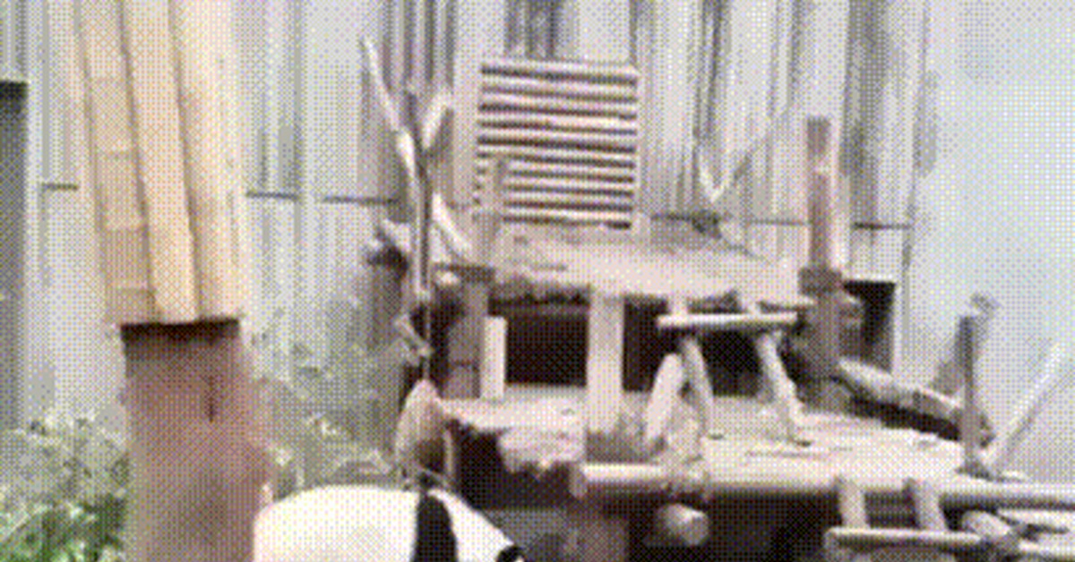 Dragon Warrior - Kung Fu Panda, Kung Fu, Panda, Bamboo, GIF