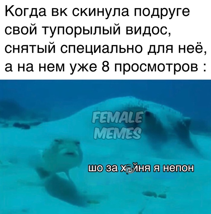  , Female Memes, ,   , 