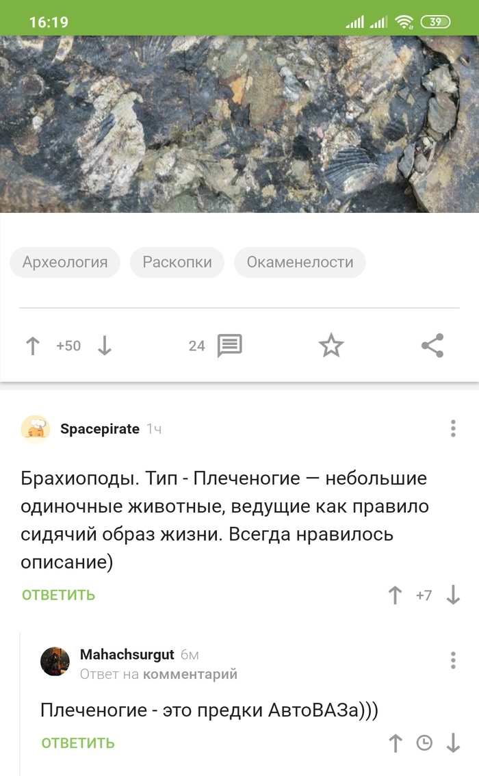 ����������