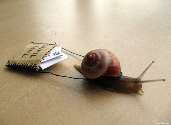 Легенда о борьбе с интернет-посылками