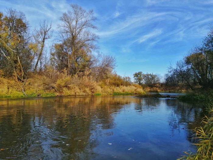 Medveditsa River, Lysogorsky district, Saratov region - My, Mobile photography, River, Nature, Longpost