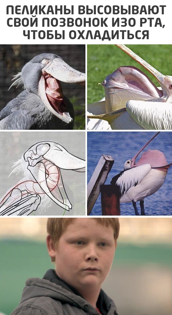      , , ,   , ,     