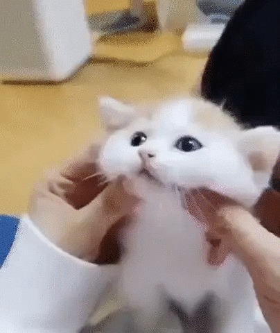     ,   , , , 