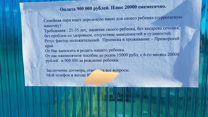 Бизнес в деревнях? - Моё, Дети, Суррогатное материнство