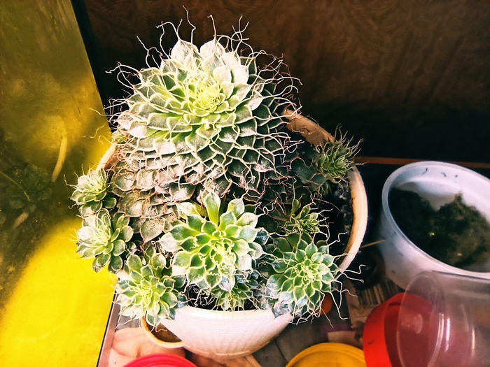       ... , , , , , , ,   , 