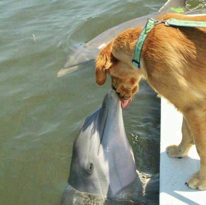 ������� � ������ �����������