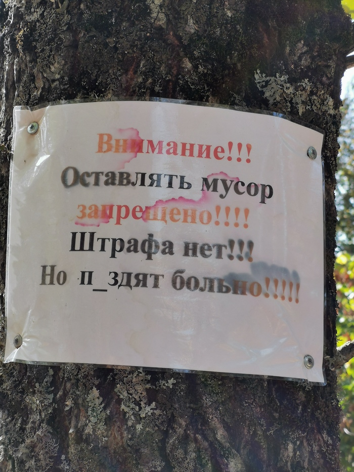 ������ �������� � ����