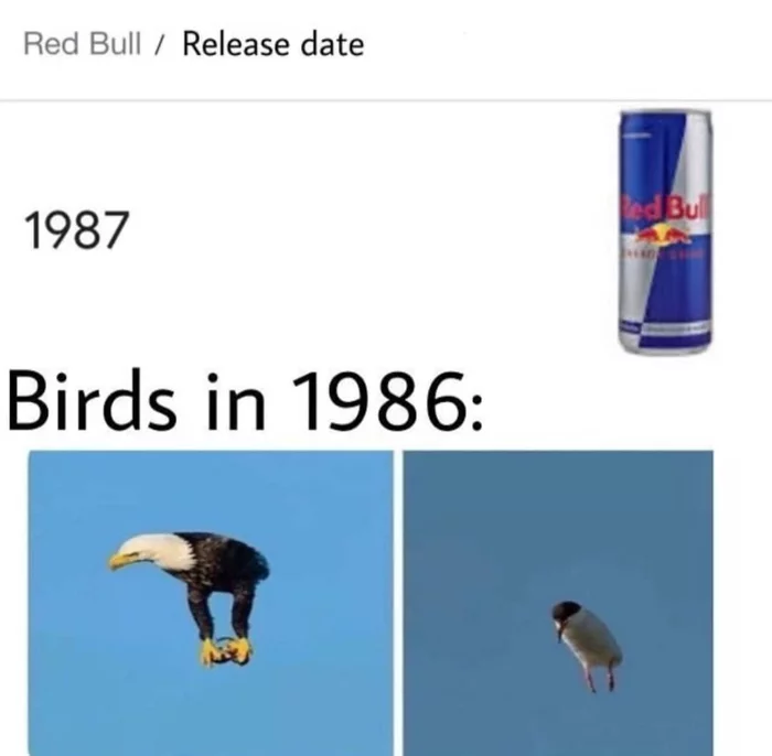 Red Bull - Memes, Redbull inspires