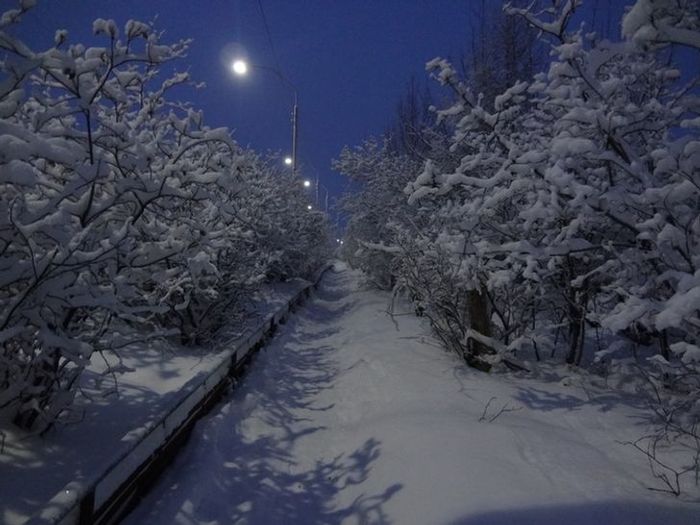 На чем предпочитают передвигаться народы чукотки. Смотреть фото На чем предпочитают передвигаться народы чукотки. Смотреть картинку На чем предпочитают передвигаться народы чукотки. Картинка про На чем предпочитают передвигаться народы чукотки. Фото На чем предпочитают передвигаться народы чукотки