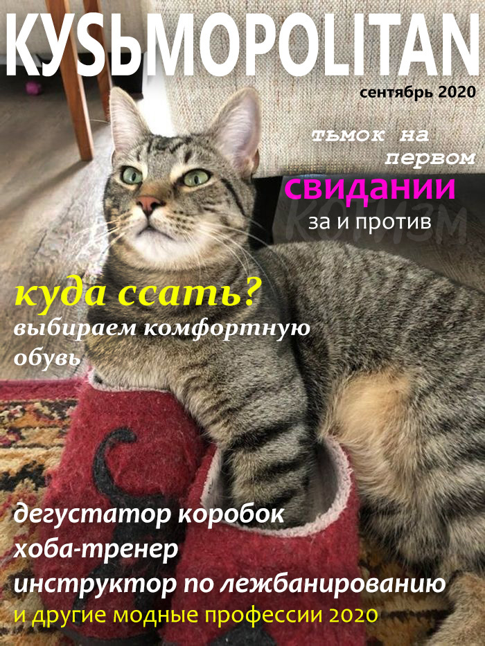 The magazine your cat secretly subscribes to - My, cat, Picture with text, Magazine, Kus, media, Longpost, Media and press