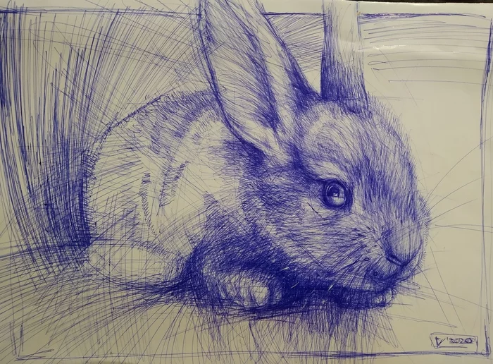 Scary nameless hare - My, Drawing, Graphics, Animals, Pen drawing, Sketch