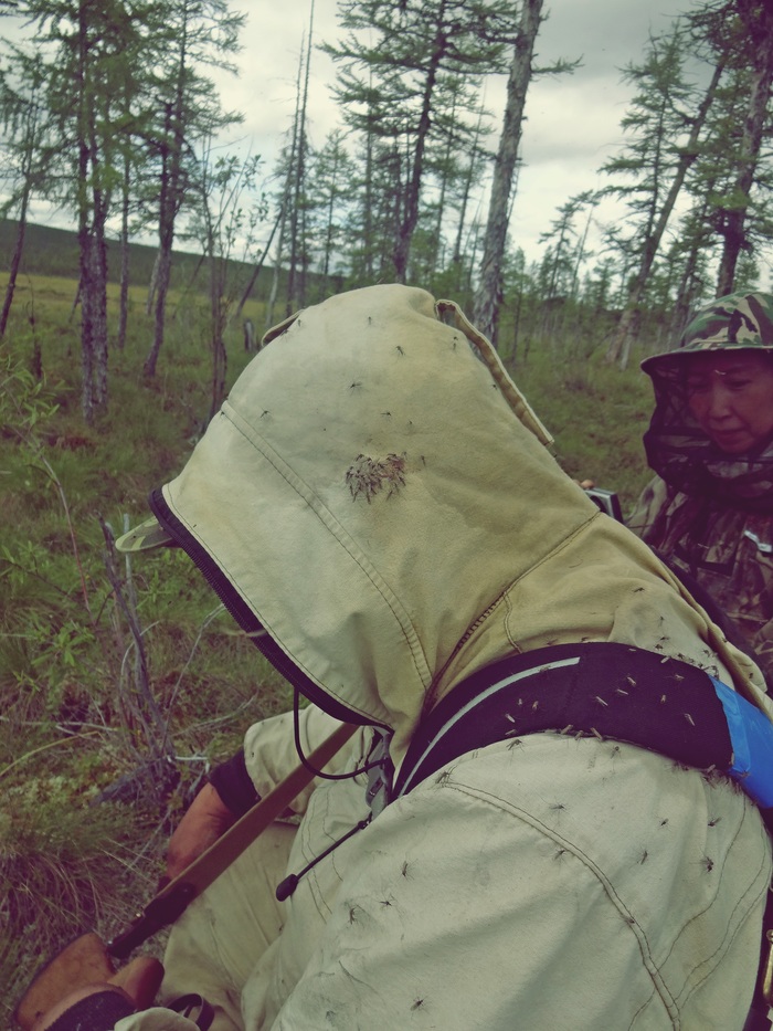 А... нормально