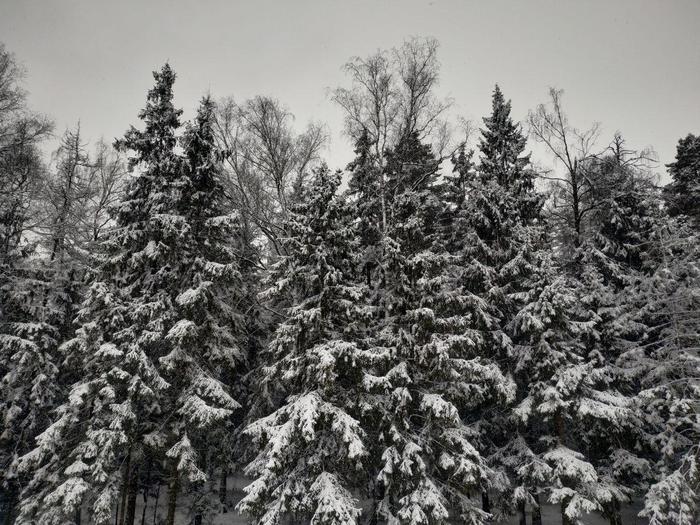 Opalikha platform, Moscow region - Snow, Platform, Opalikha, Longpost