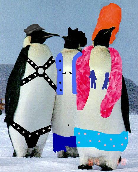 Gay penguins stole eggs from lesbian females - African, Gays, Penguins, TVNZ, Text