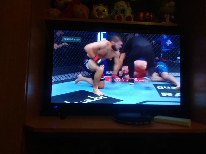 Хабиб чемпион!